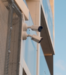 Oparko – Billede 8